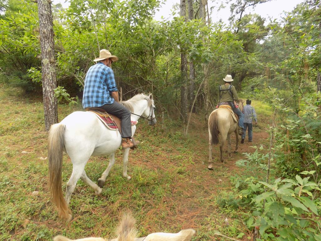 Rancho Hostal La Escondida Eco Park Teopisca Extérieur photo