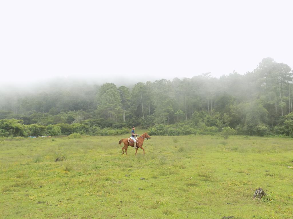 Rancho Hostal La Escondida Eco Park Teopisca Extérieur photo
