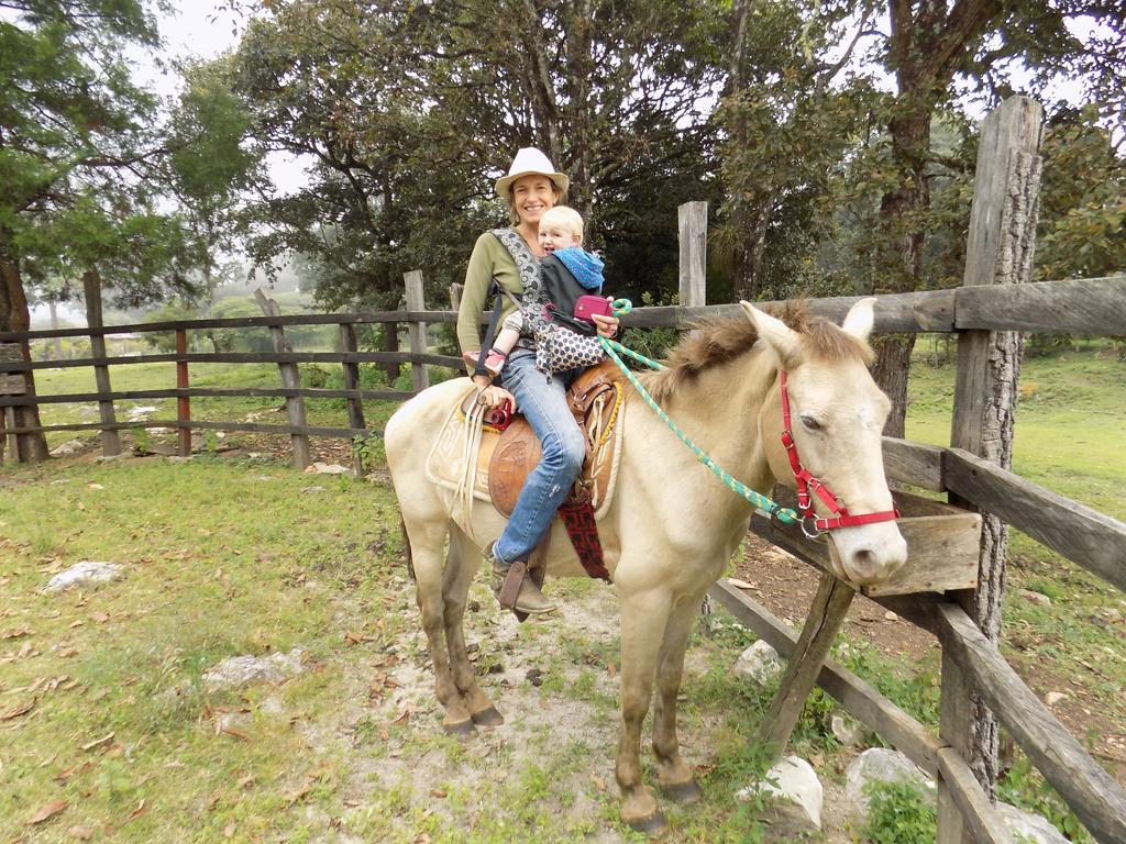 Rancho Hostal La Escondida Eco Park Teopisca Extérieur photo