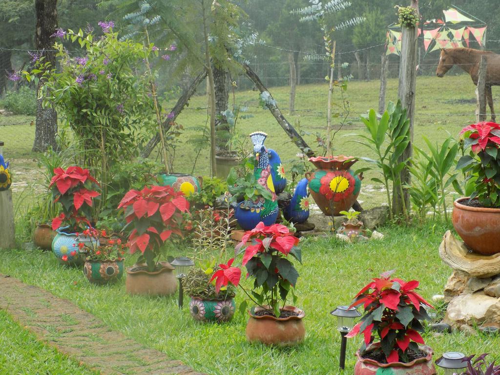 Rancho Hostal La Escondida Eco Park Teopisca Extérieur photo