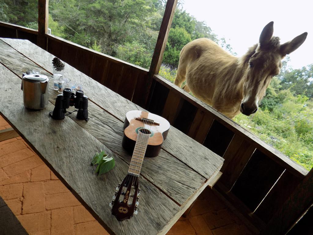 Rancho Hostal La Escondida Eco Park Teopisca Extérieur photo